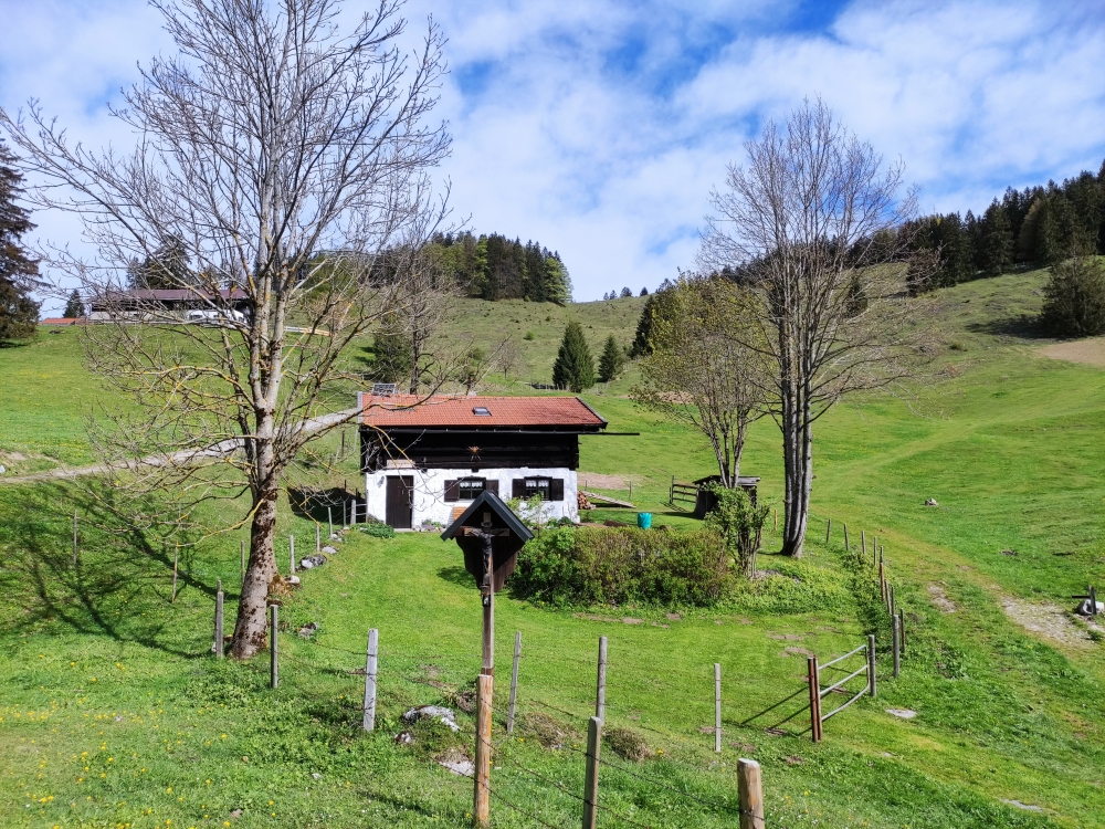 Wanderung Pasterkopf: Bei der Polzhagl Alm rechts