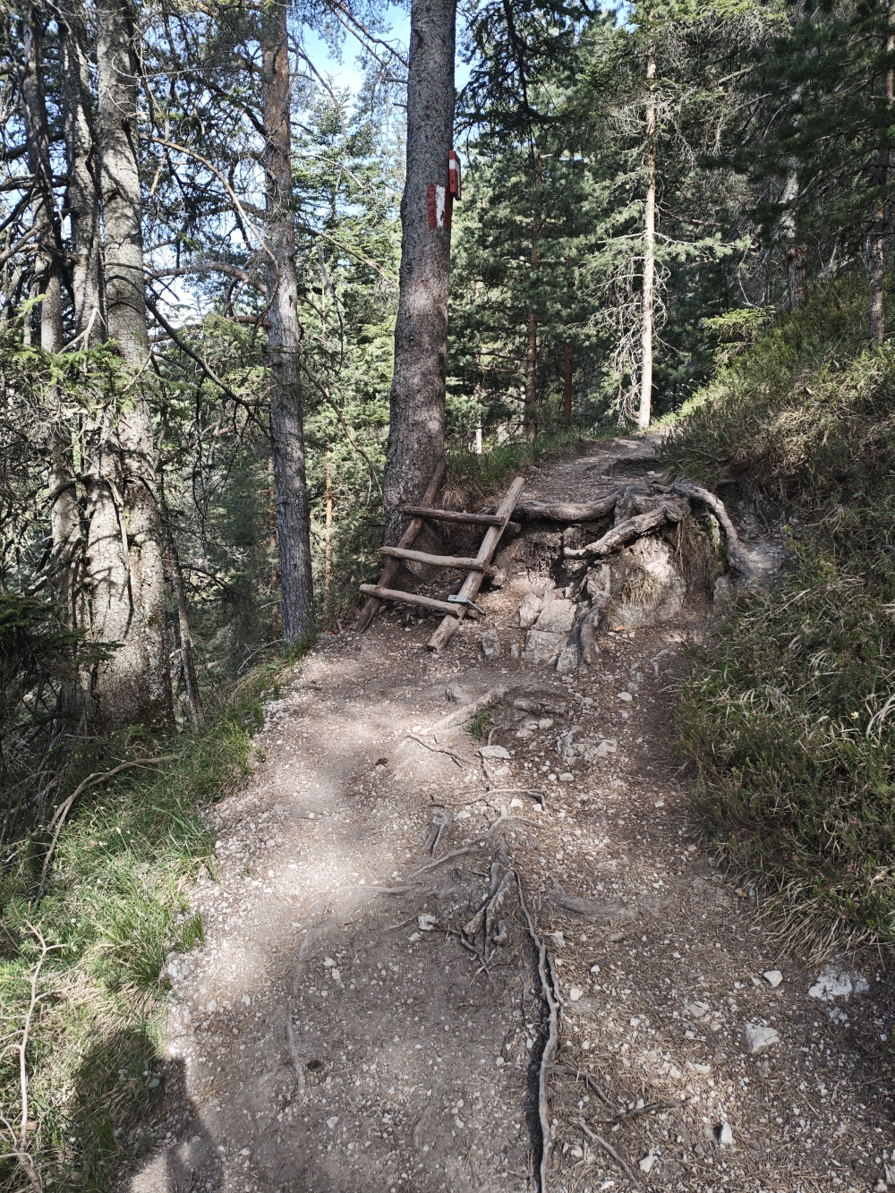 Parkplatz Bachwinkl -> Peter-Wiechenthaler-Hütte: Wanderweg