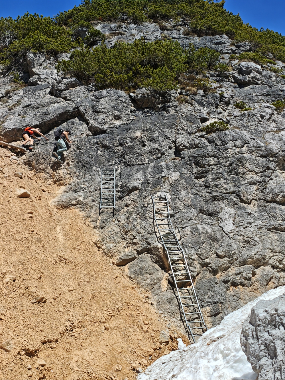 Peter-Wiechenthaler-Hütte -> Steinalm: Leitern