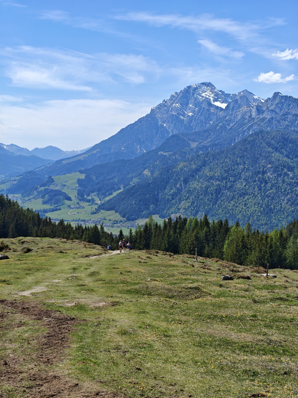 Steinalm -> Einsiedelei am Palfen: Wiesenabstieg