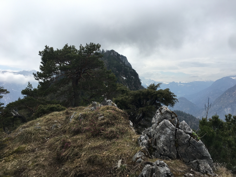 Blick vom unscheinbaren Gipfel des Pflasterbachhörndl auf das Rabensteinhorn