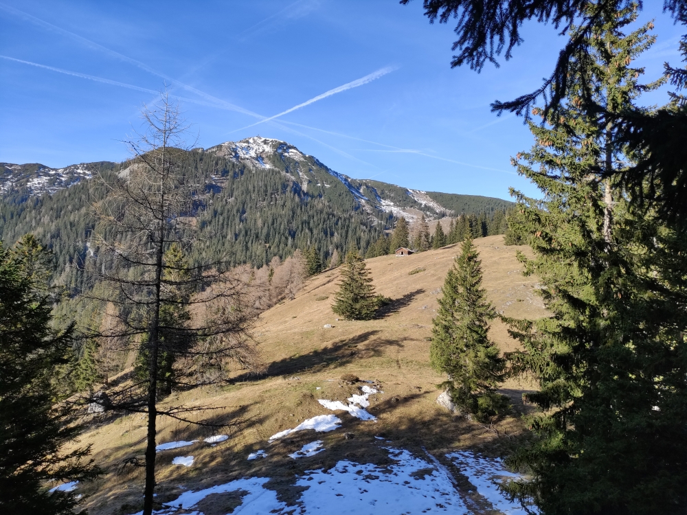 Pletzachalm -> Pletzachkogel: Abstieg mit Blick zum Roßkogel