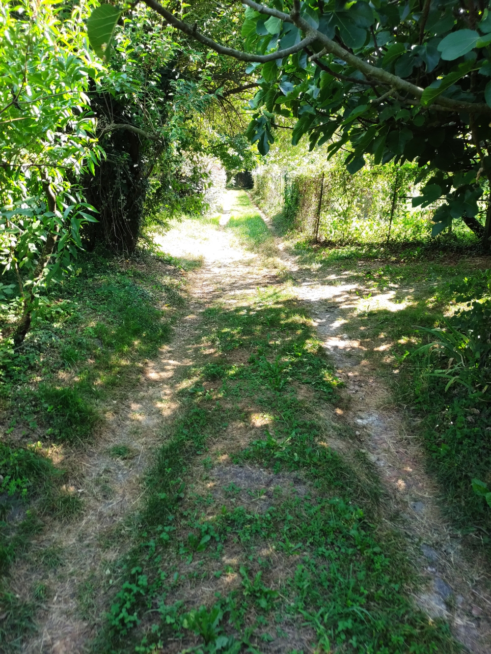 Wanderung Ponte del diavolo: Fahrstraße