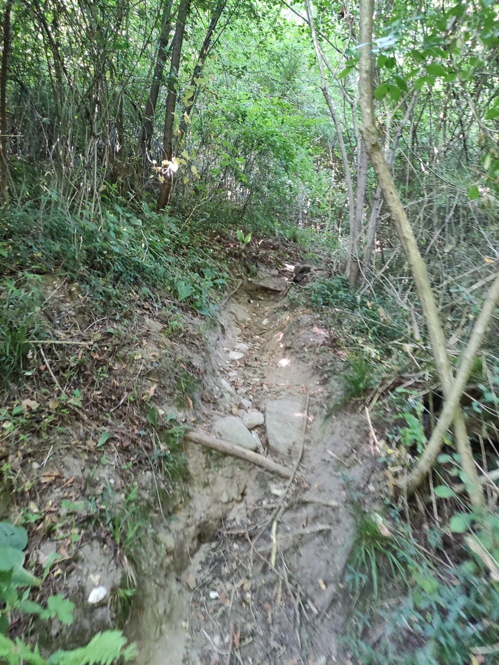 Wanderung Ponte del diavolo: Steig