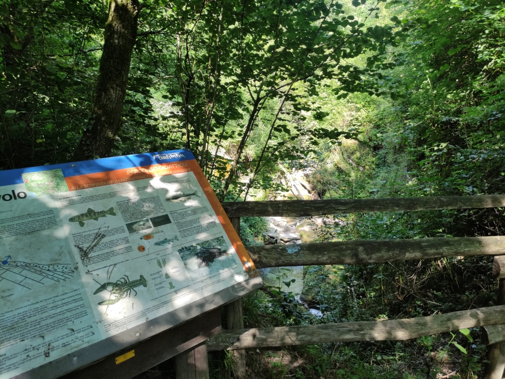 Wanderung Ponte del diavolo: Wanderung Ponte del diavolo: Infotafel (Ponte del diavolo)