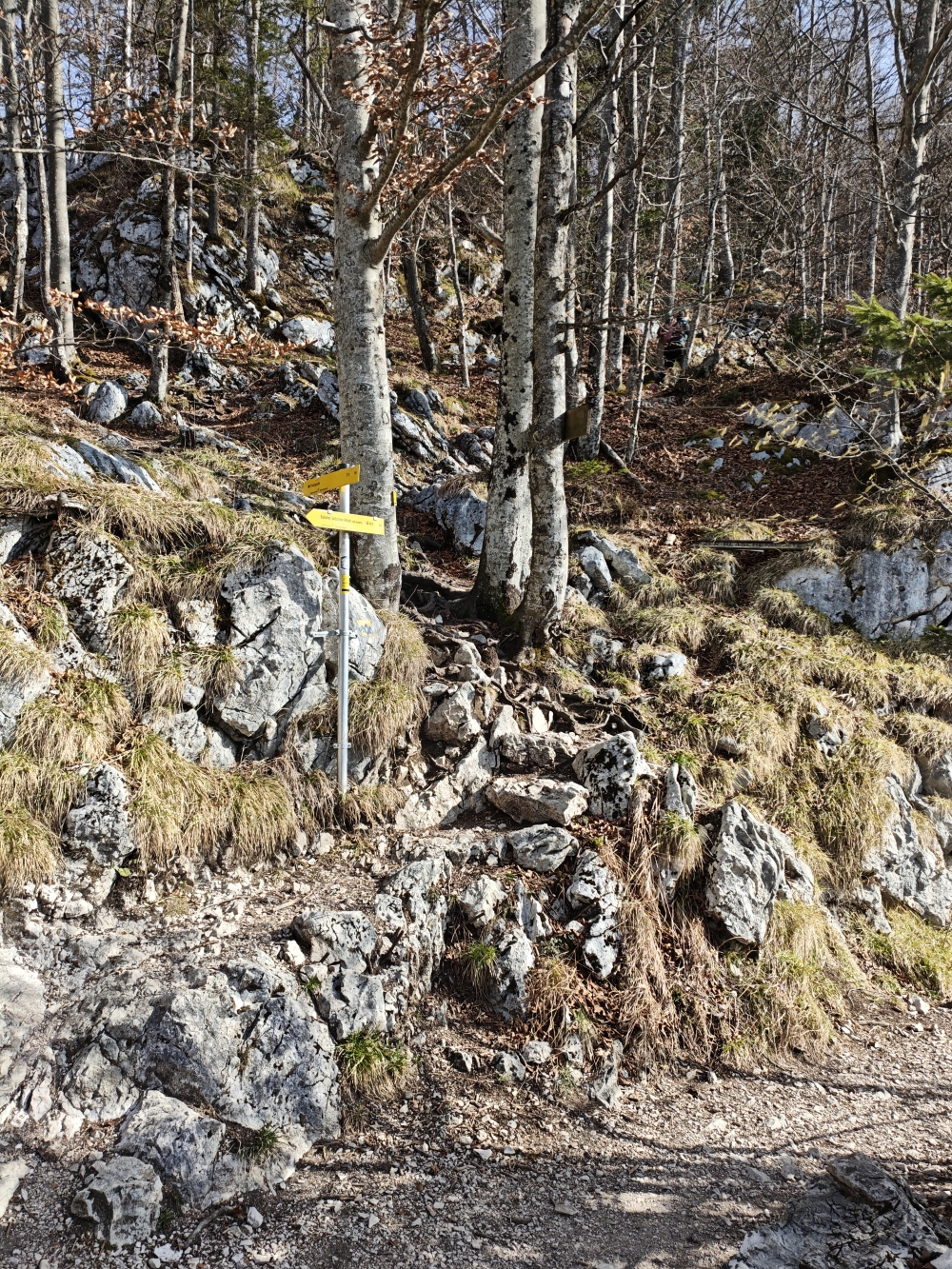 Wanderung Predigstuhl: Abzweig zum Gipfel