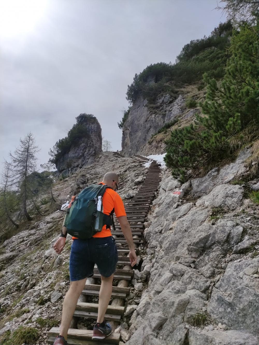 Spechtenkopf -> Predigtstuhl: Über viele Treppenstufen