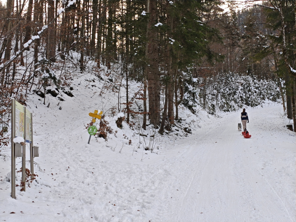 Rodeln Priener Hütte: Abzweig Sommerweg