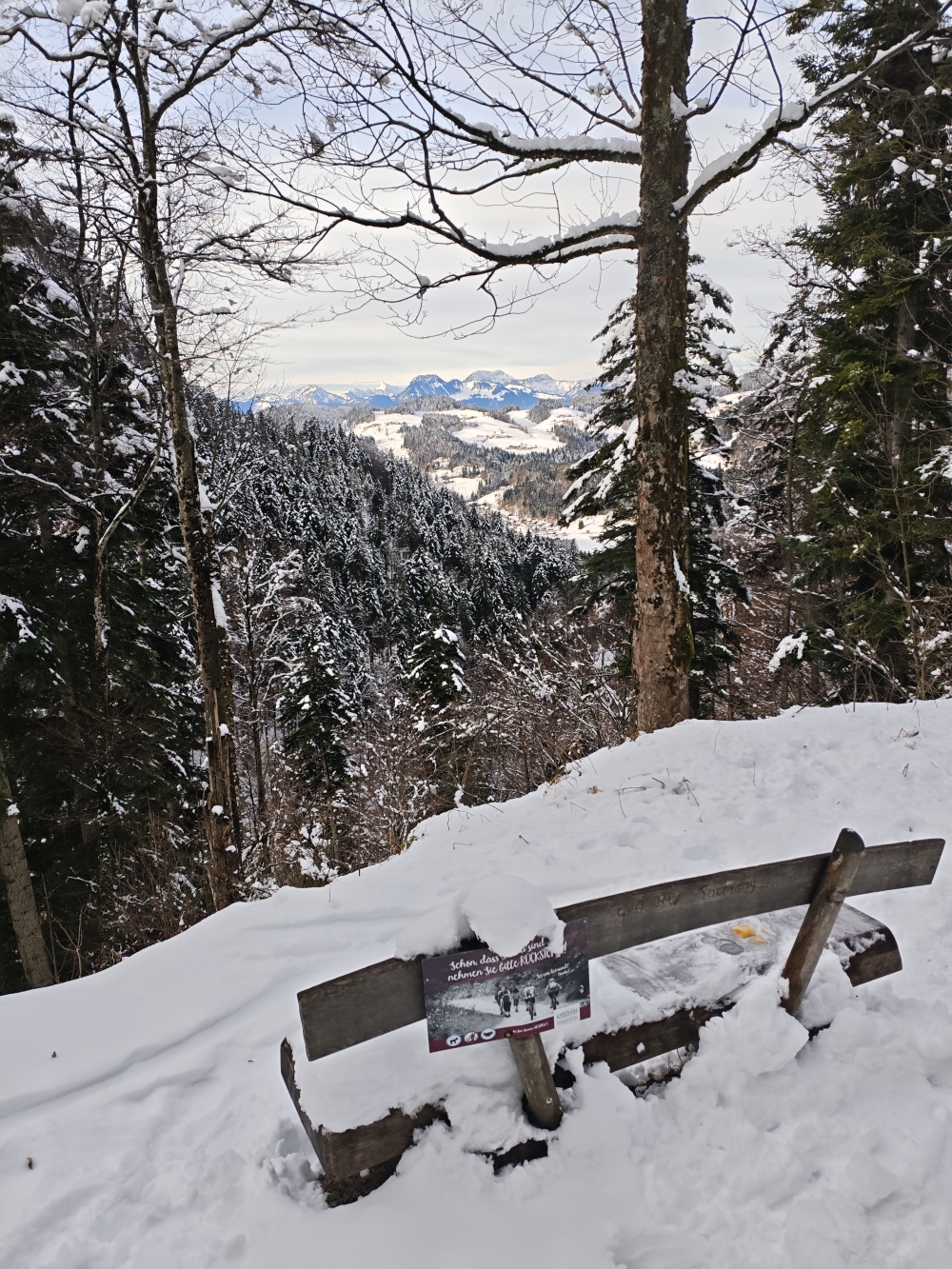 Rodeln Priener Hütte: Ausblick
