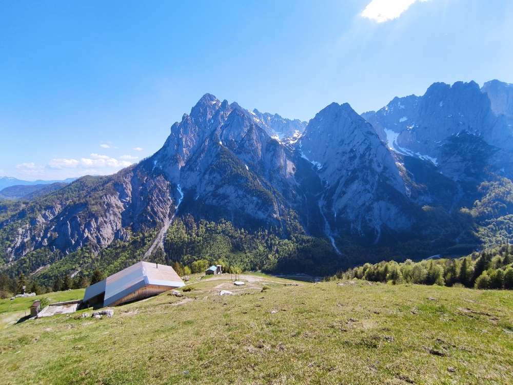 Wanderung Feldberg: Wanderung Feldberg: Die Ranggenalm gegenüber des Lärcheck