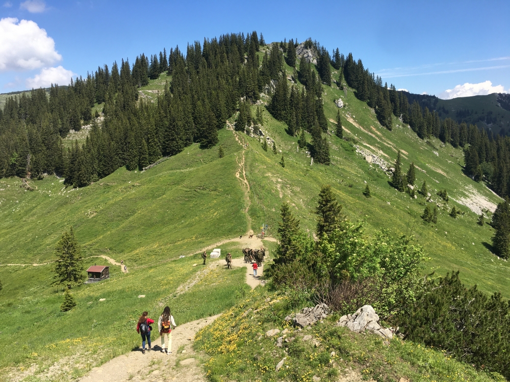 Blick von der Bergstation der Taubensteinbahn auf den Rauhkopf (Raukopf)