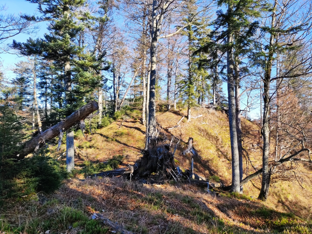 Reitberg: Am Gipfel