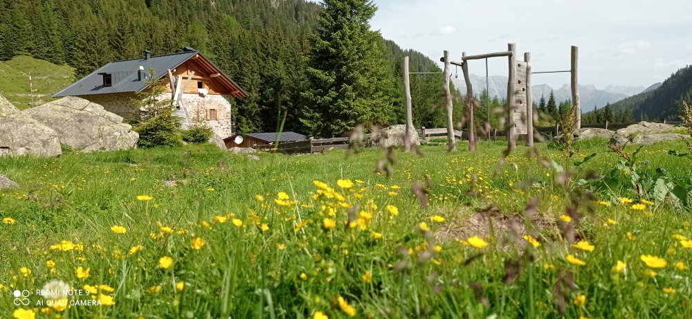 Rifugio Baita Monte Cauriol -> Camin: Cauriol-Hütte und nahe gelegener Spielplatz mit Bach