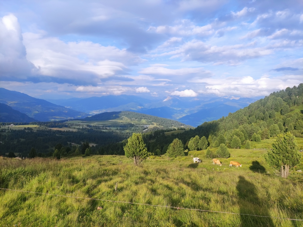 Bike & Hike Rittner Horn: Blick auf den Speichersee und Parkplatz Saltnerstein auf der Villanderer Alm