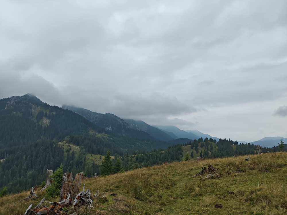 Rosengarten -> Schleifmühlklamm Ausgang: Wiesenabstieg vom Gipfel