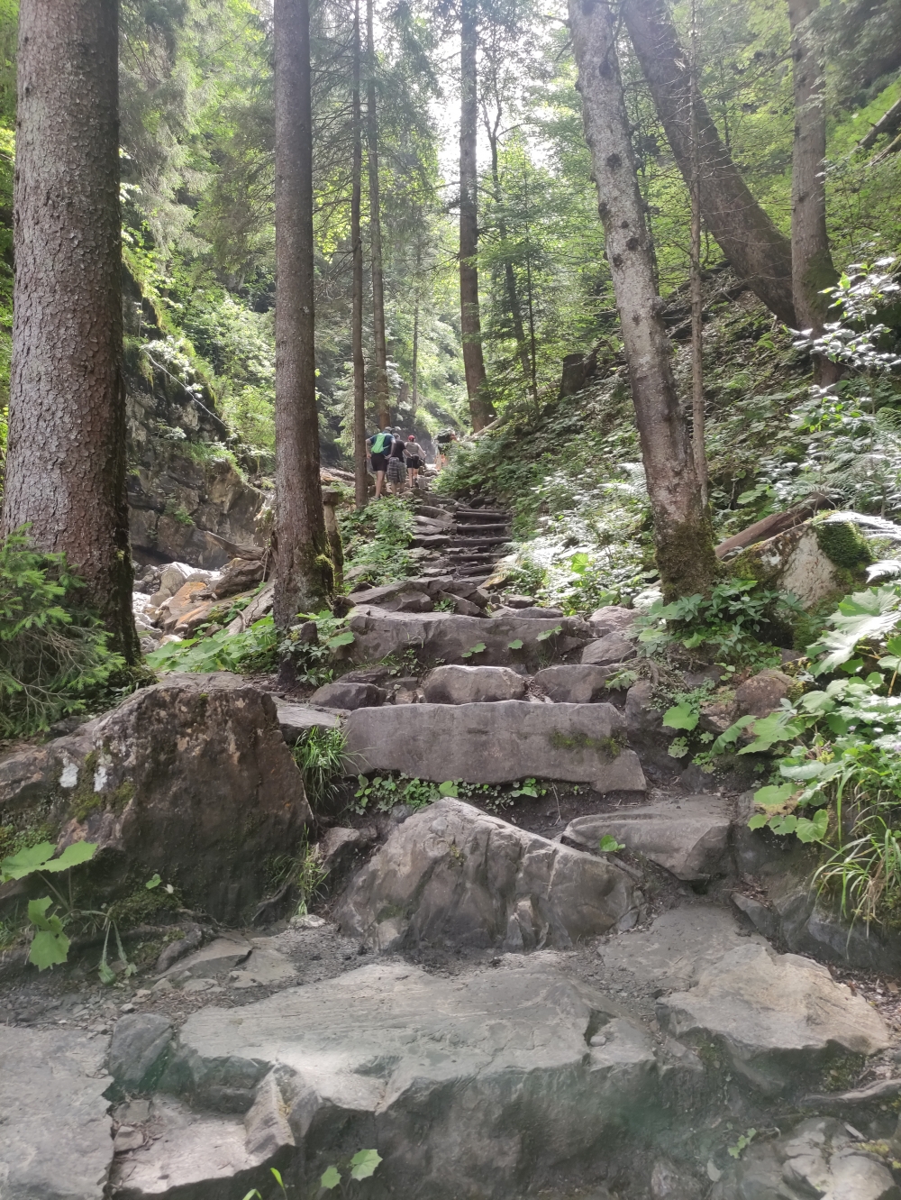 Wanderung Rubihorn: Tobelweg