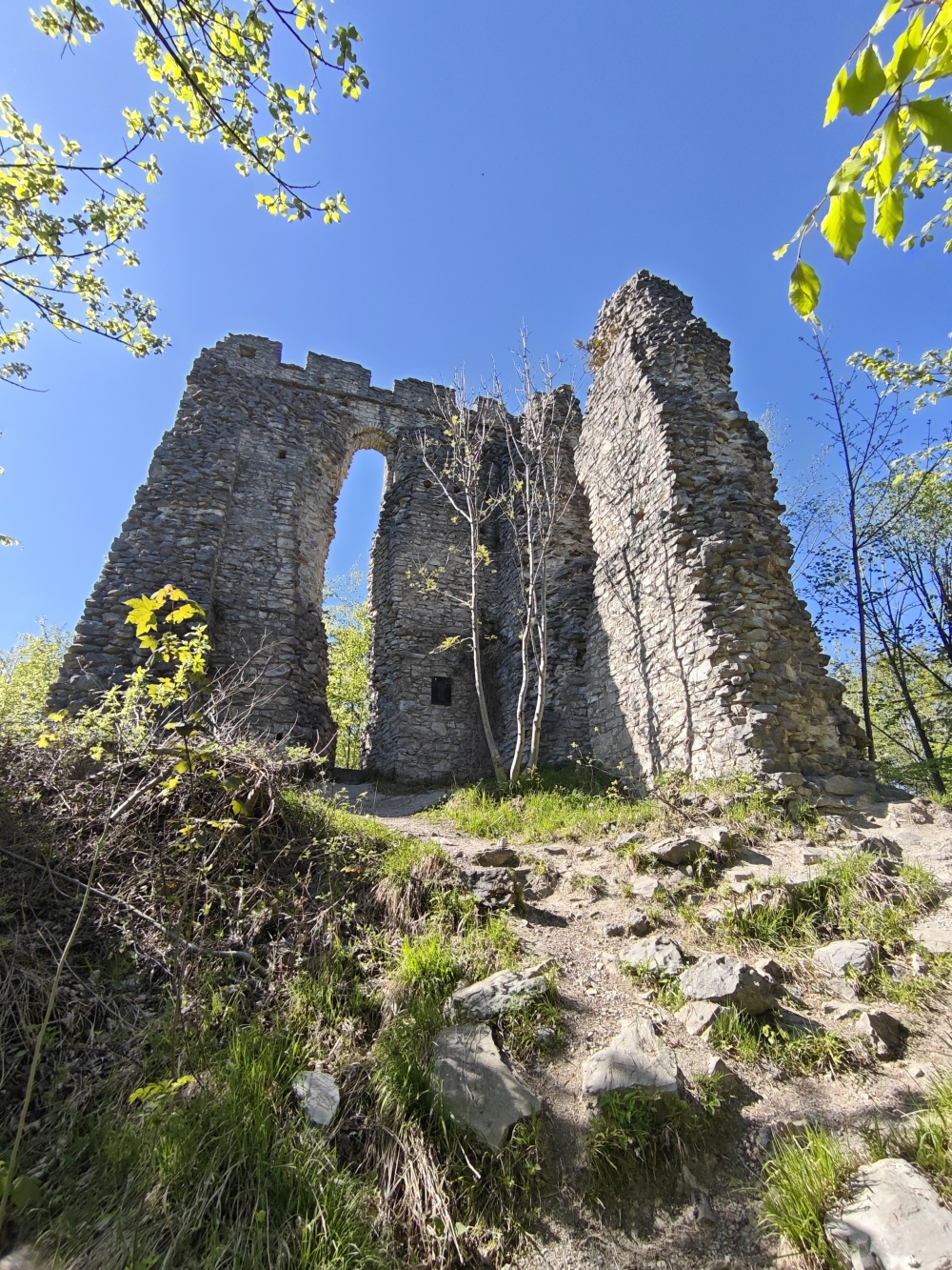 Ruine Thürndl: Ruine Thürndl