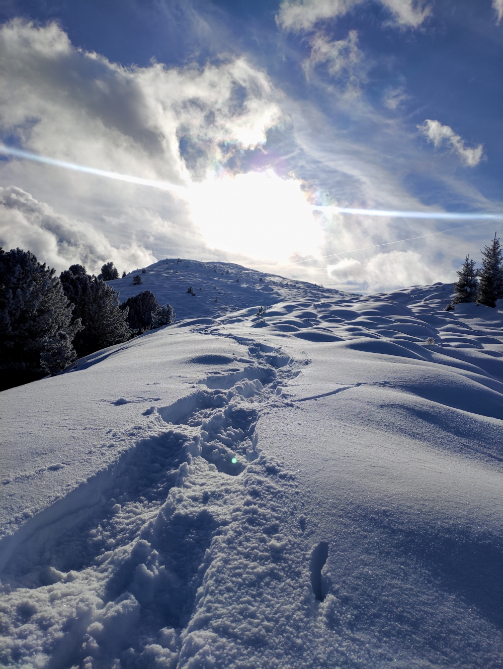 Wanderung Salfeins: Weg