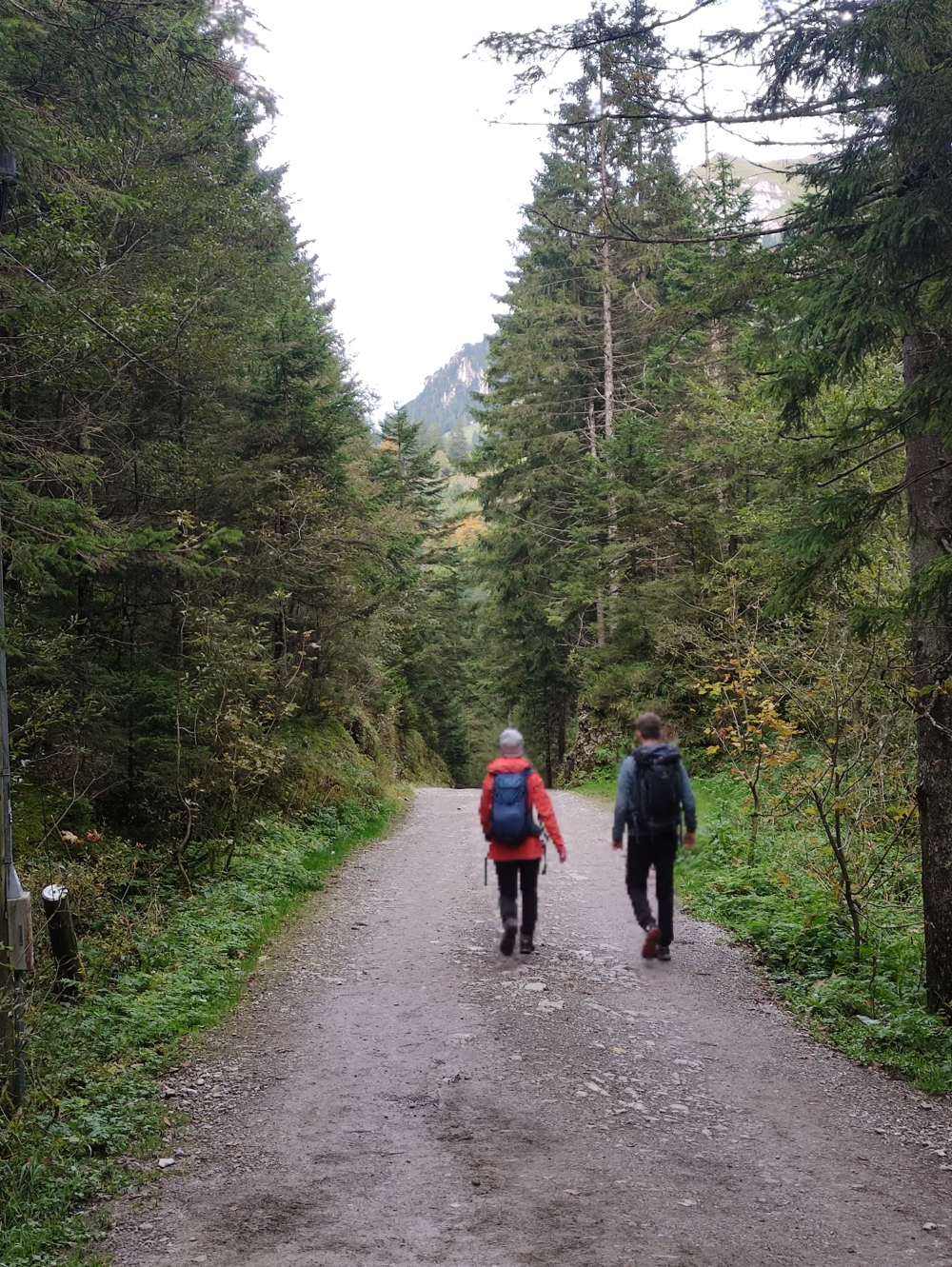 Berggasthaus Plattenbödeli -> Brülisau Gondelbahn: Abstieg
