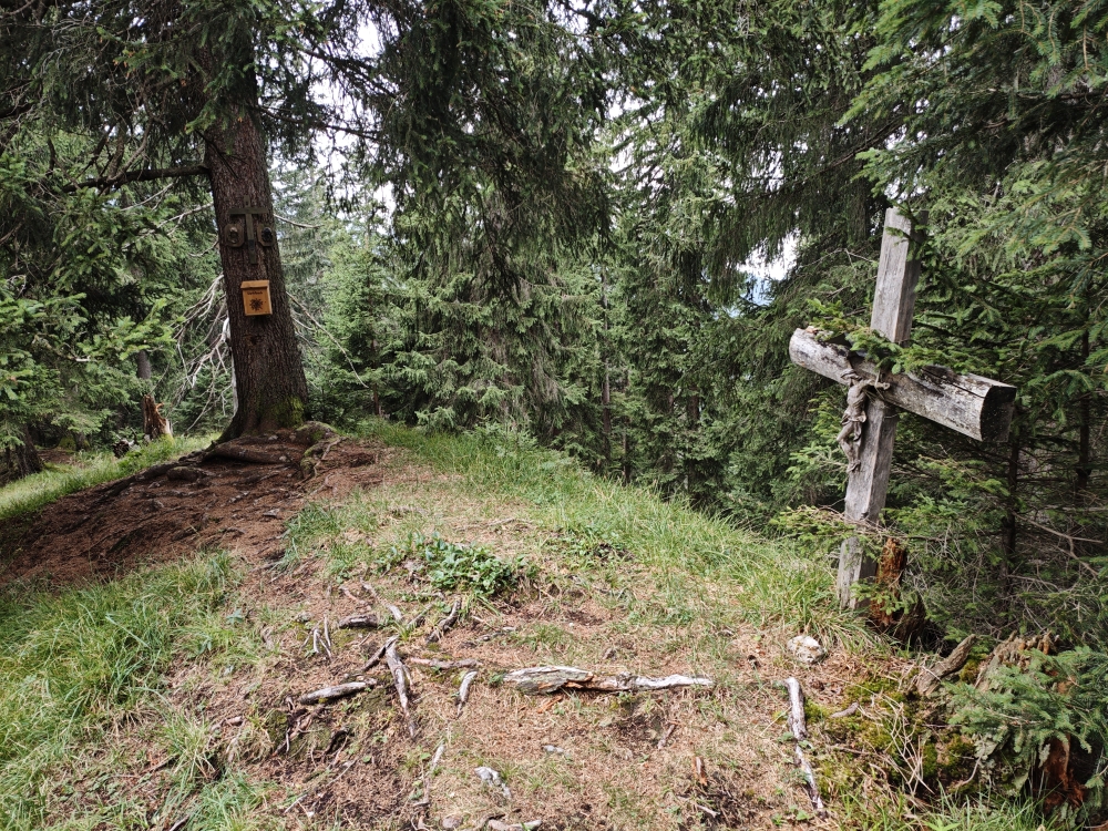Schartenköpfl: Gipfelkreuz
