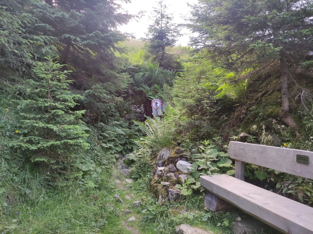 Wanderung Hinteres Hörnle: Wanderung Hinteres Hörnle: Schatzloch