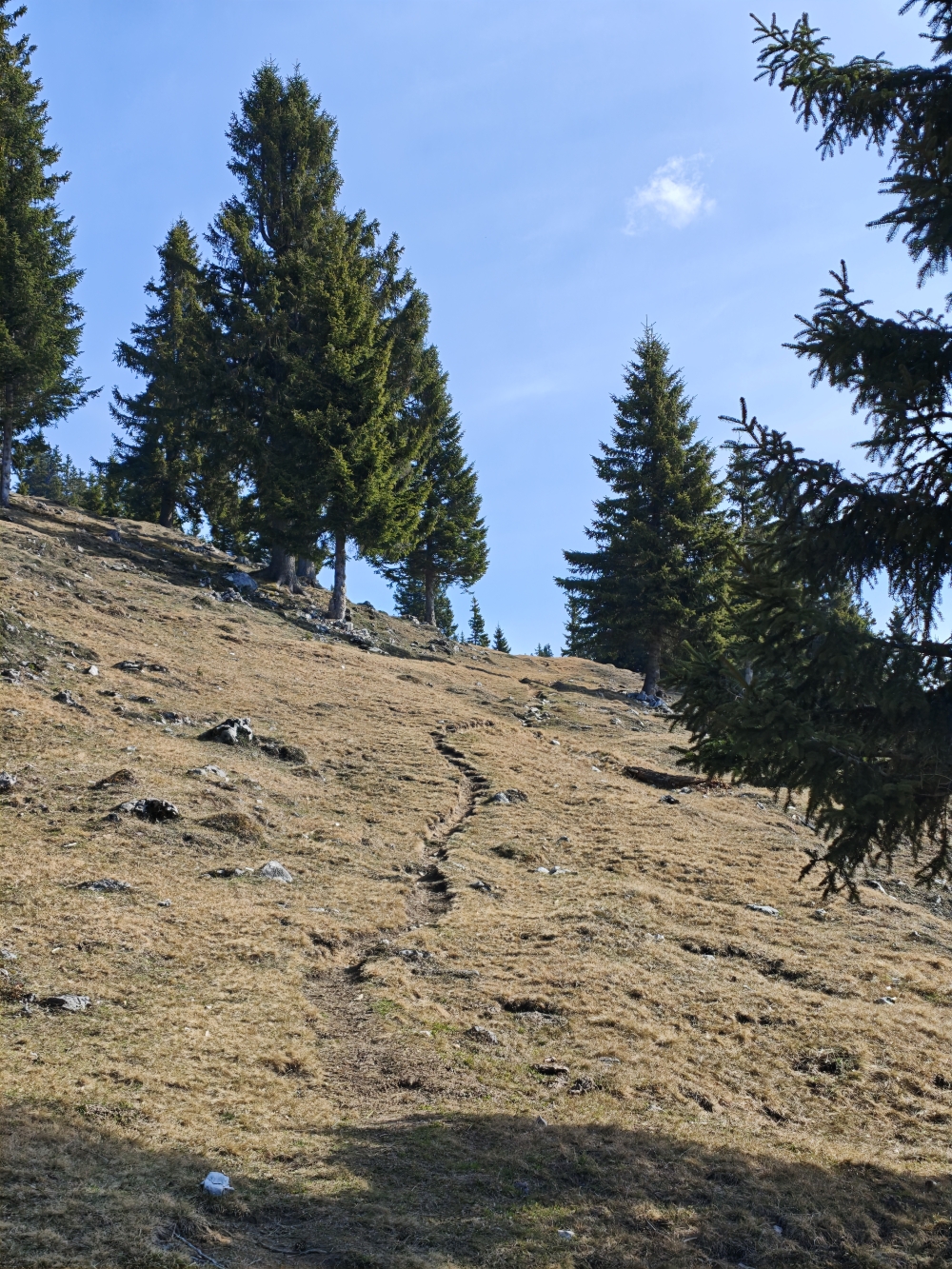 Hofbauernalm -> Sonnwendwand: Aufstieg