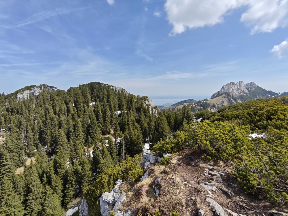 Bauernwand -> Scheibenwand: Durch die Latschen