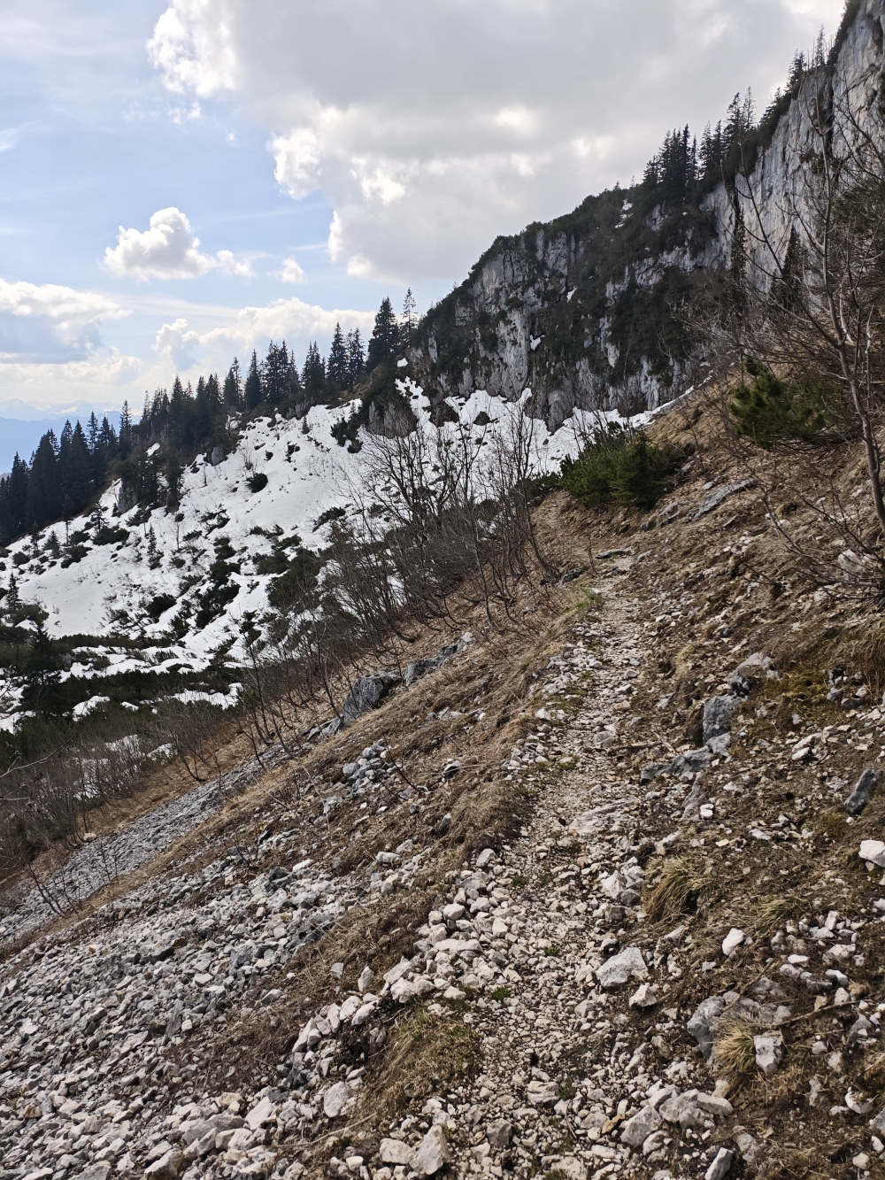 Wanderung Scheibenwand: Almenweg