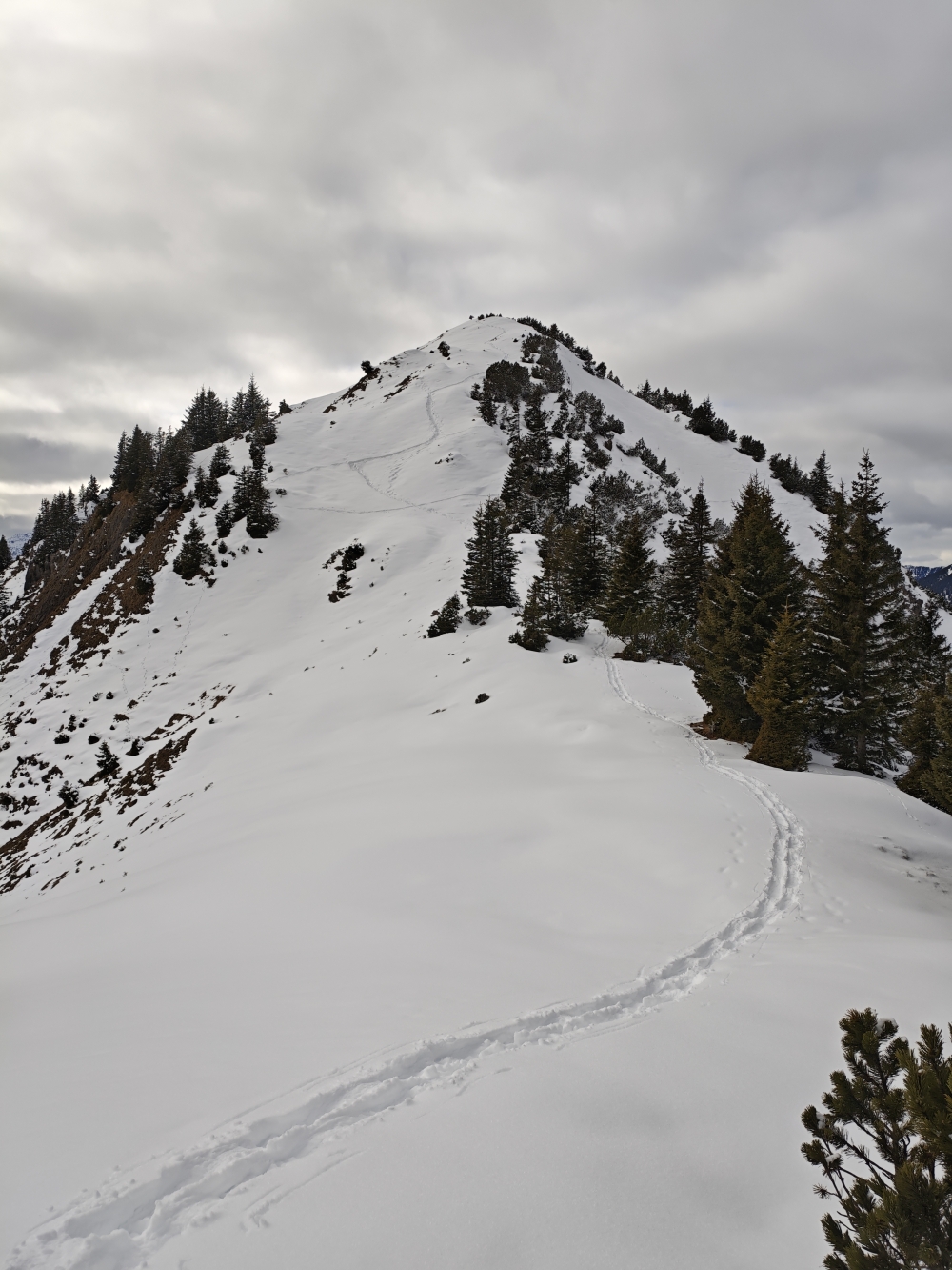 Wanderung Schellkopf: Gipfelanstieg