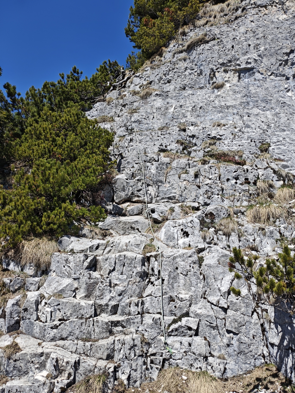 Schmittenstein -> Tenneralm: Kurze Kletterstelle
