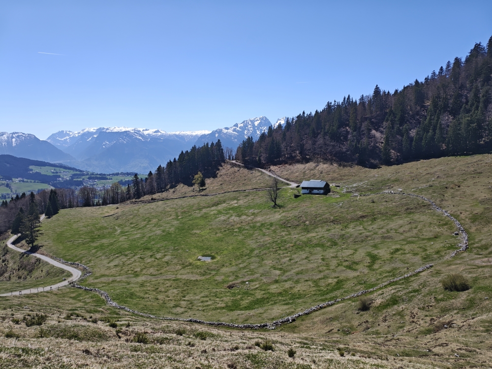 Tenneralm -> Zillhütte: Almwiesen der Nigelkaralm