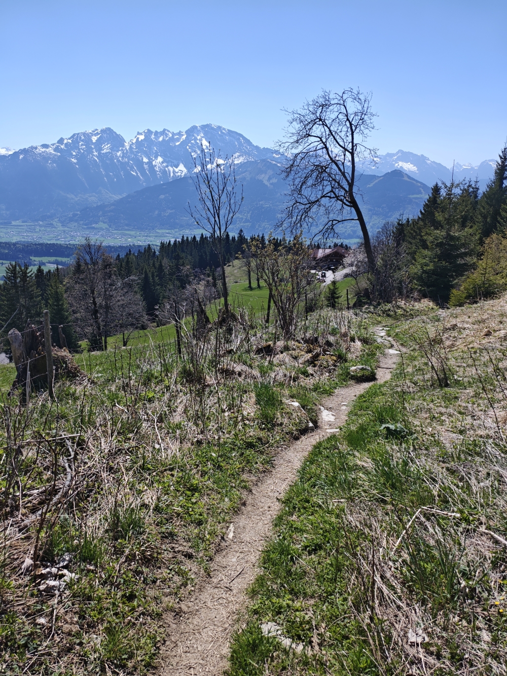 Wanderung Schlenken: Abstieg über Wallmanreith
