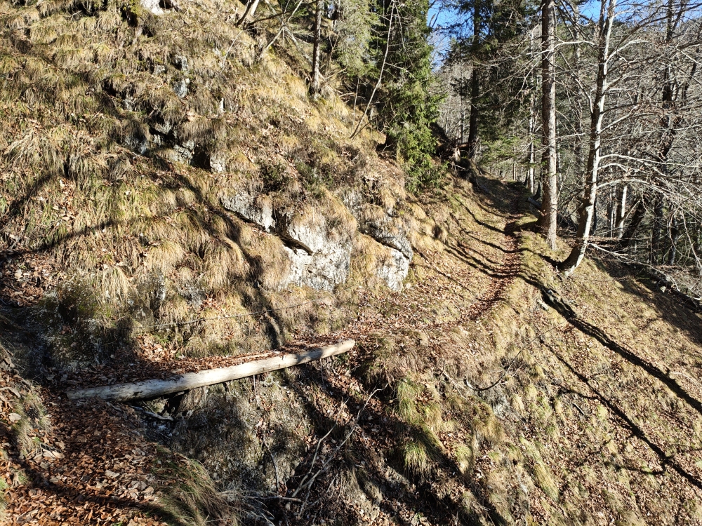 Wanderung Schnappenstein: Brücke mit Seil