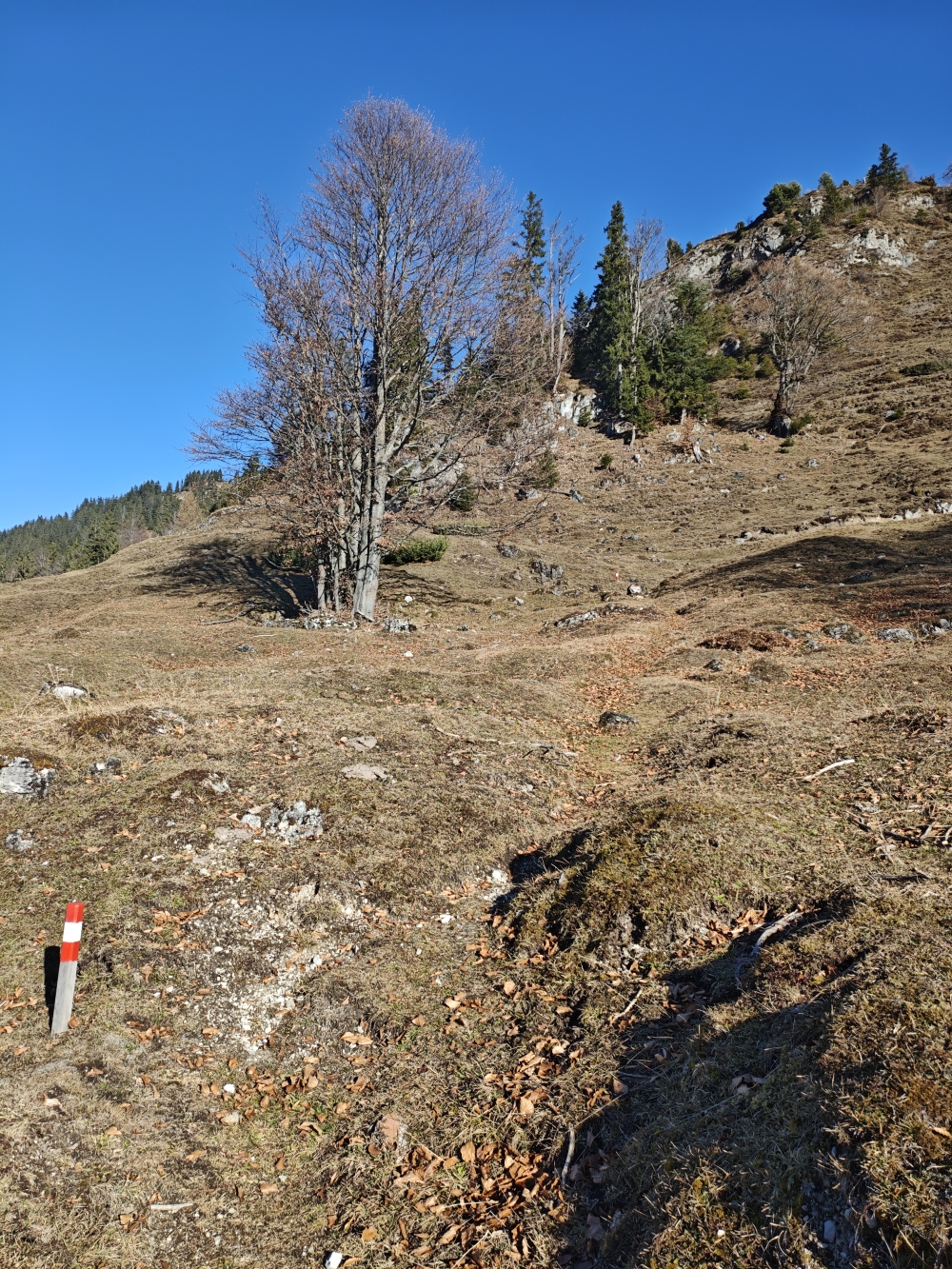 Wanderung Schnappenstein: Von Pfosten zu Pfosten