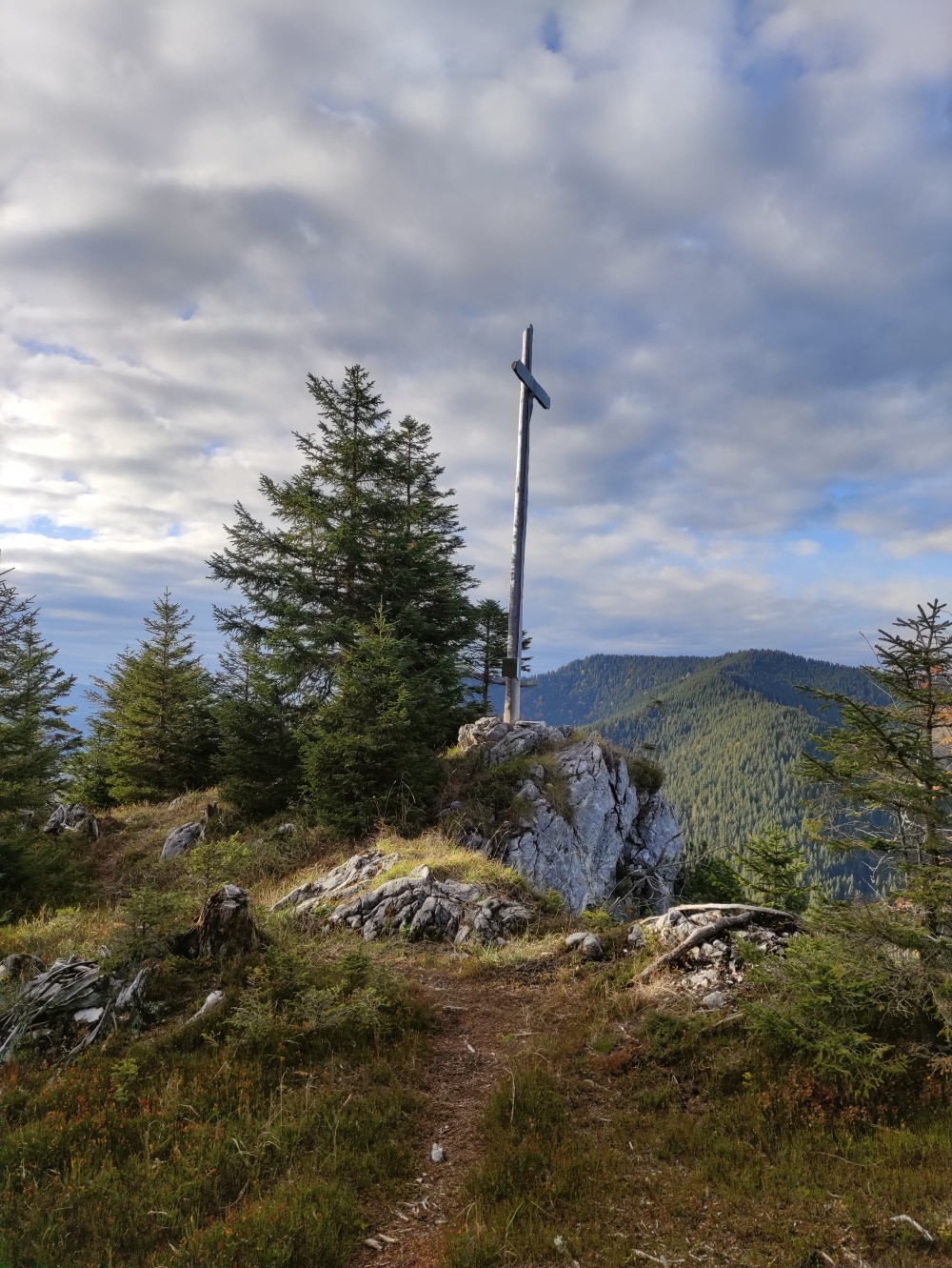 Schoberwaldkreuz: Gipfelkreuz