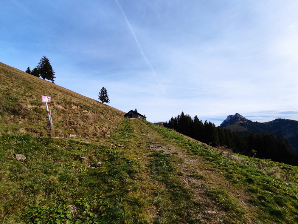 Schönbergalm: Schönbergalm