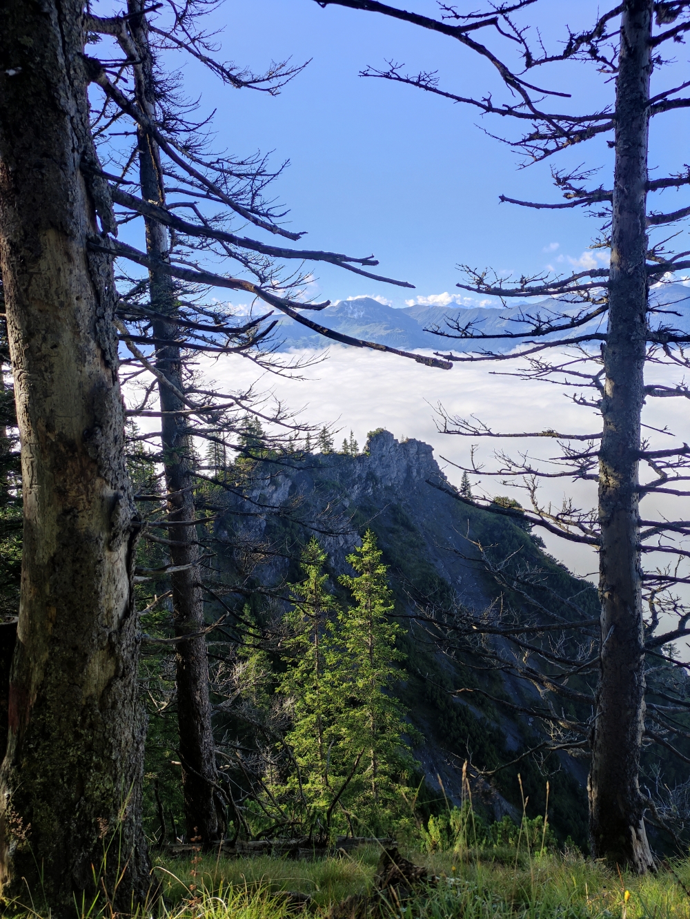 Wanderung Schönfeldspitze: Blick zurück zum Gipfelkreuz des Napfetzer
