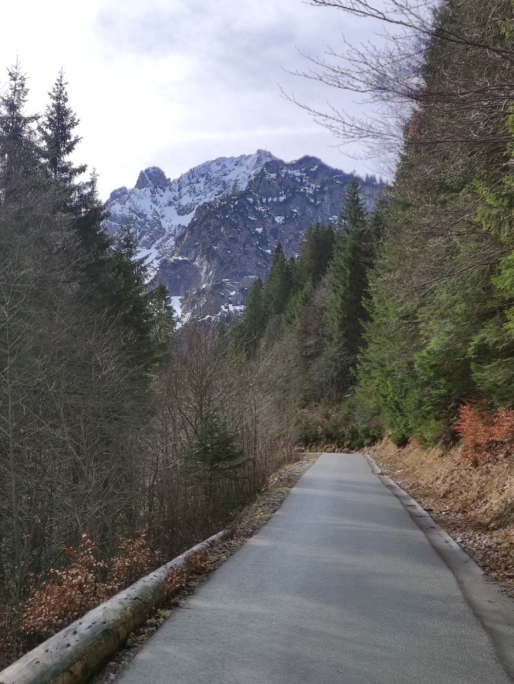 Wanderung Schönleitenschrofen: Teerstraße