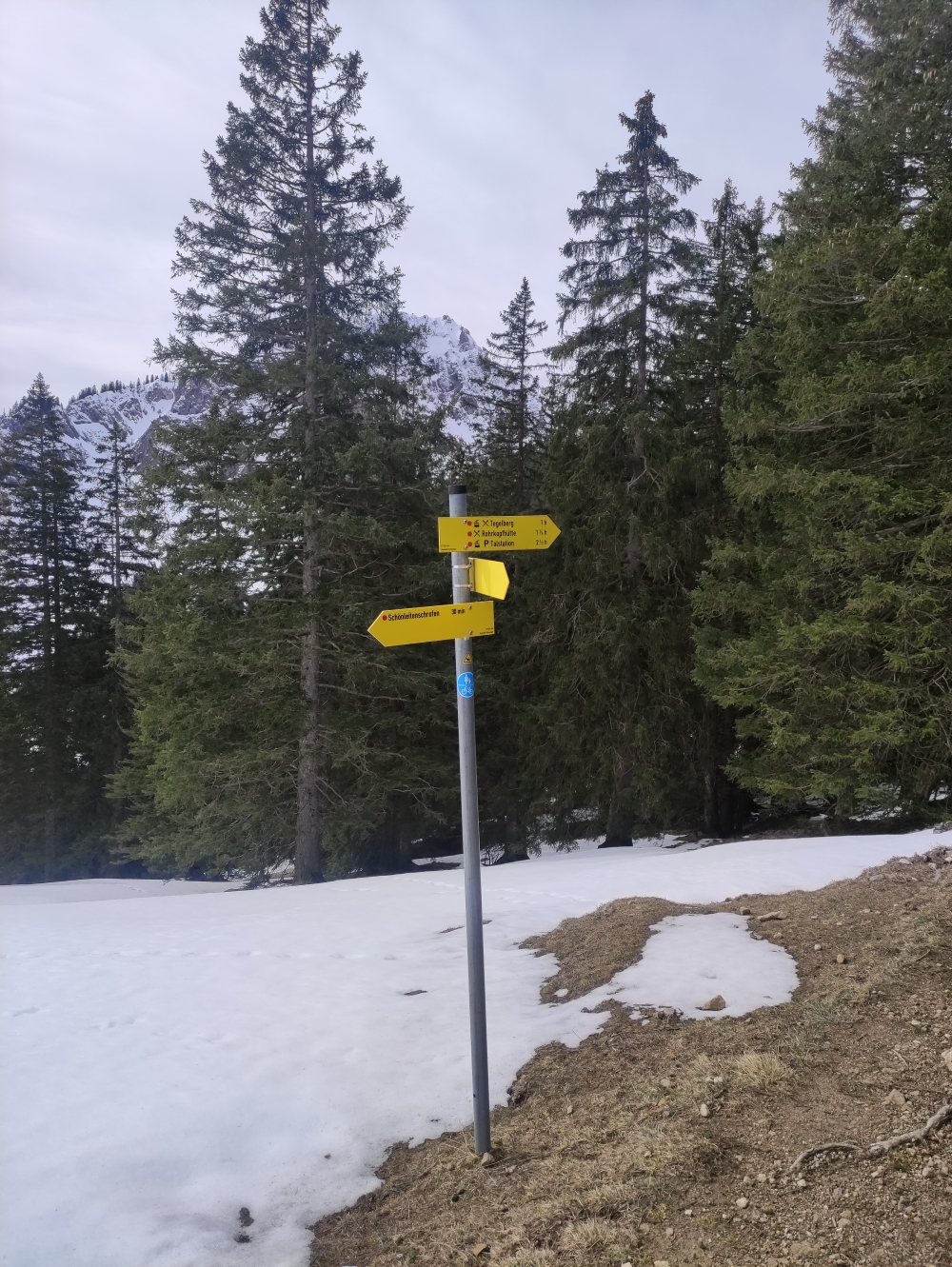 Wanderung Schönleitenschrofen: Beim Aufstieg hier links