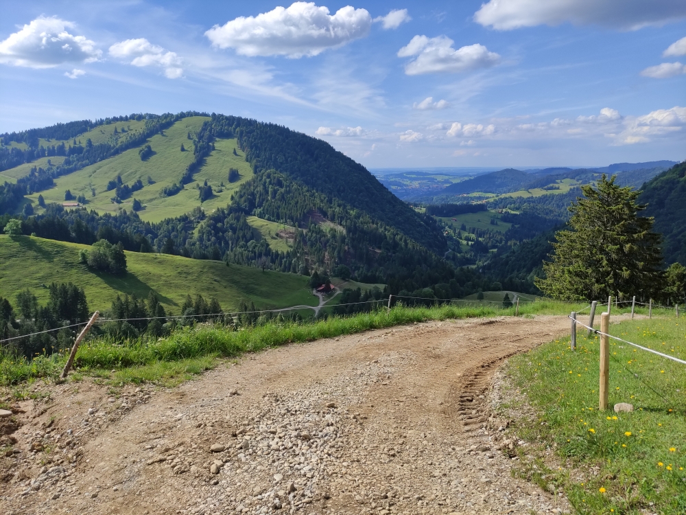 Staufner Haus -> Unterlauchalpe: Schotterstraße