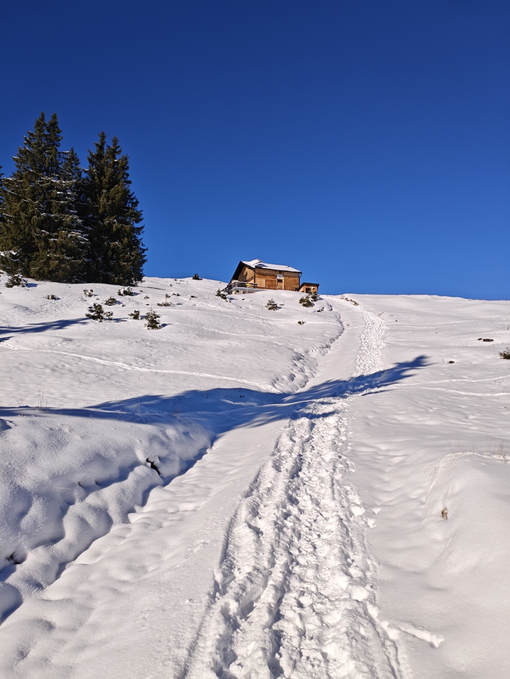 Wanderung Hochplatte: Wanderung Hochplatte: Seewaldhütte