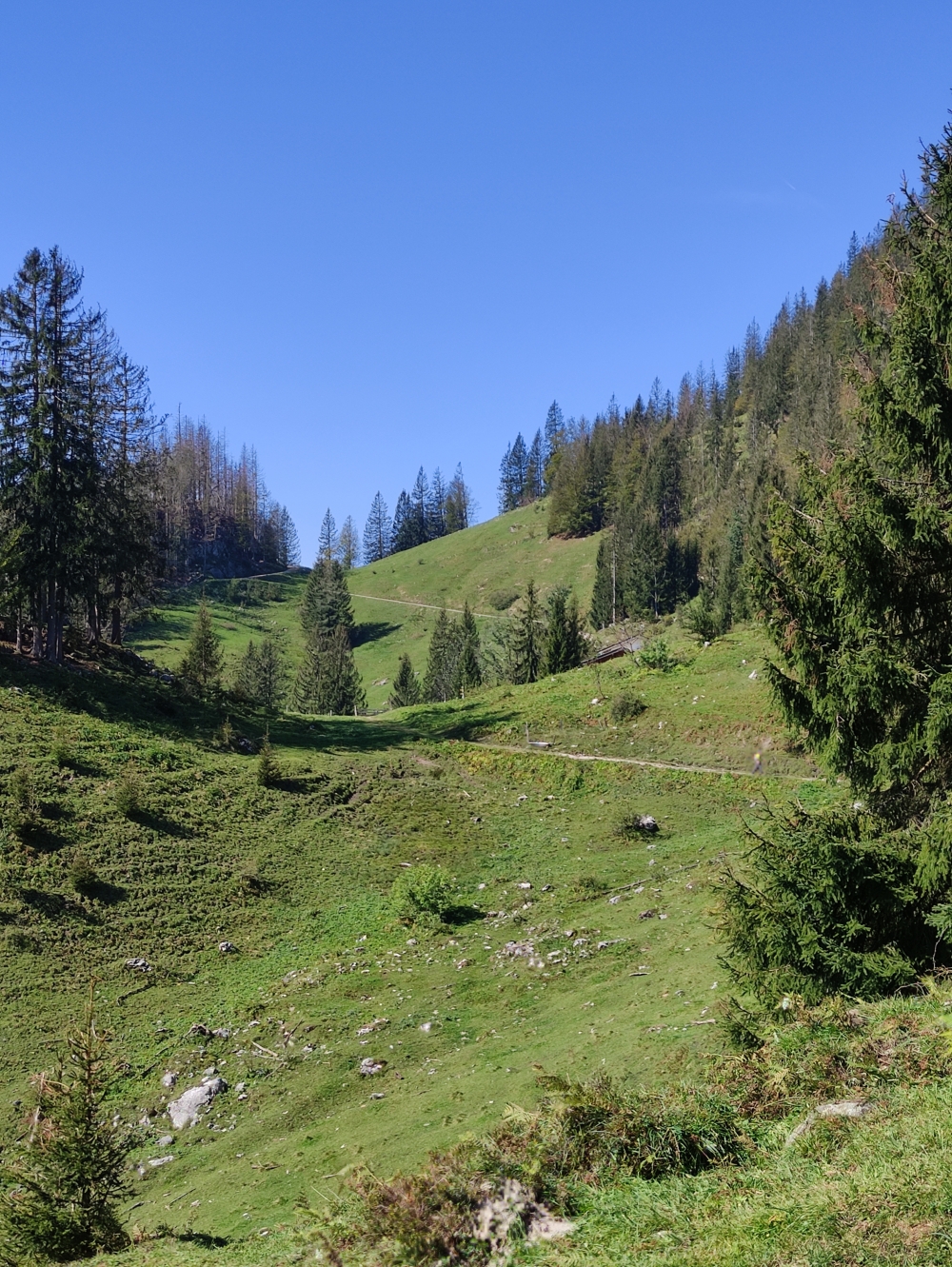 Wanderung Steiner Hochalm und Seilabodenkreuz: Zwischen den Almen