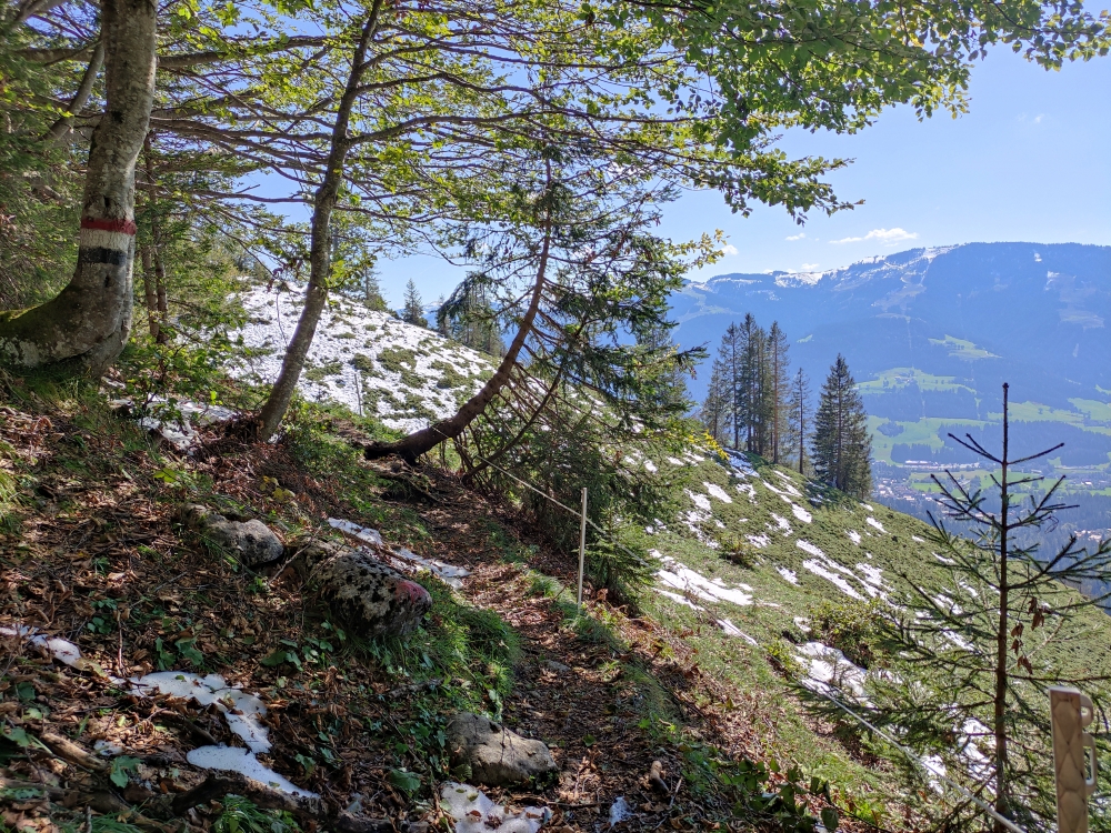 Wanderung Steiner Hochalm und Seilabodenkreuz: Wilder-Kaiser-Steig