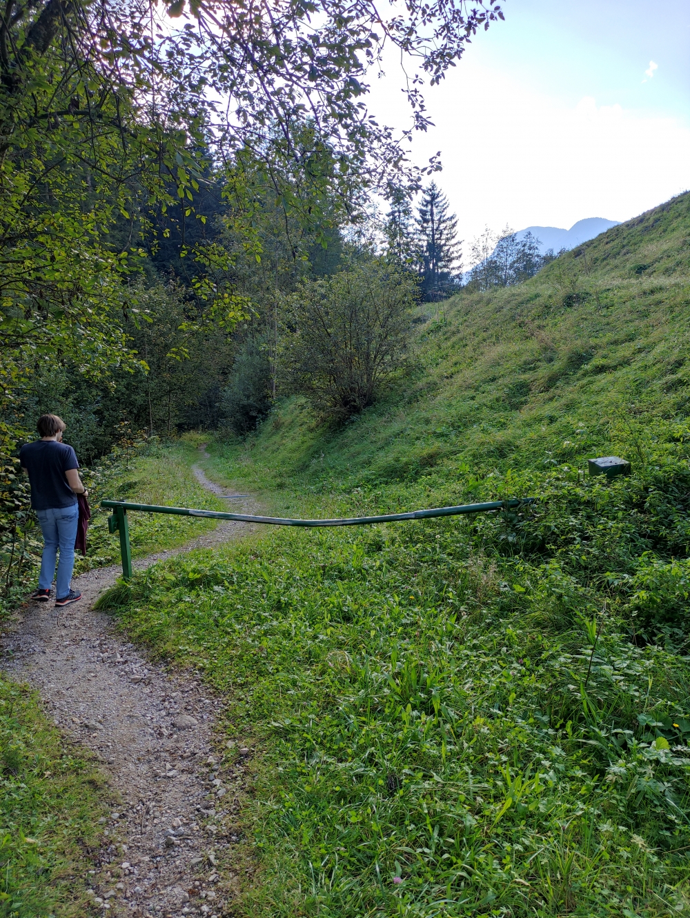 Wanderung Steiner Hochalm und Seilabodenkreuz: Im Bachtal