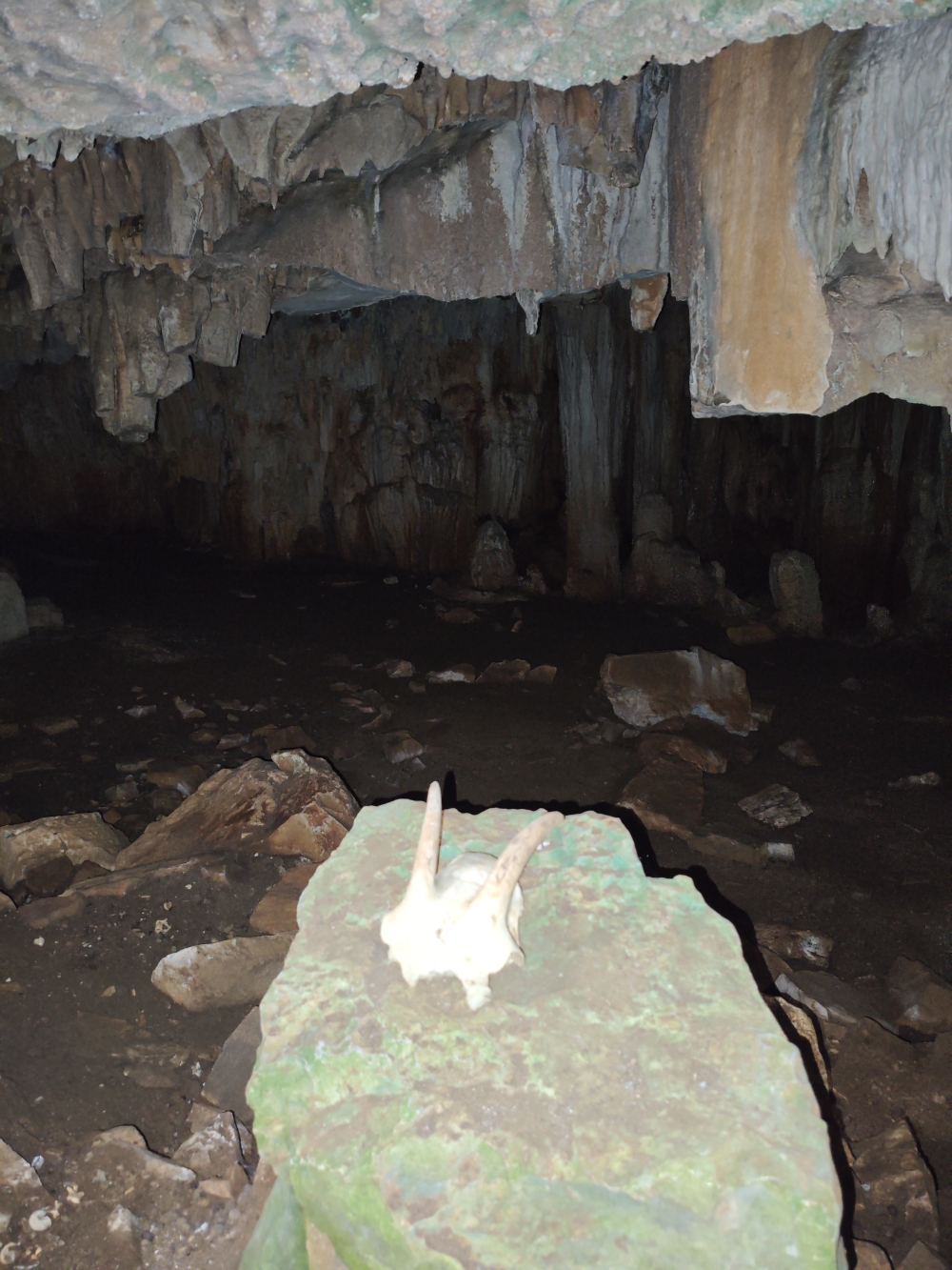 Wanderung Skyros Höhle: Wanderung Skyros Höhle: Ziegenschädel (Skyros Höhle)