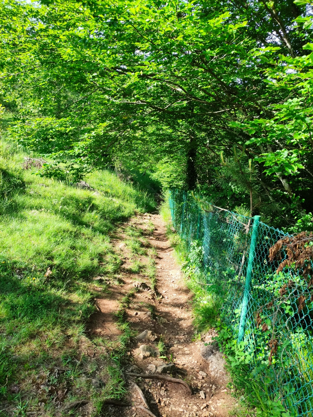 Wanderung Slap Butori: Am Zaun entlang