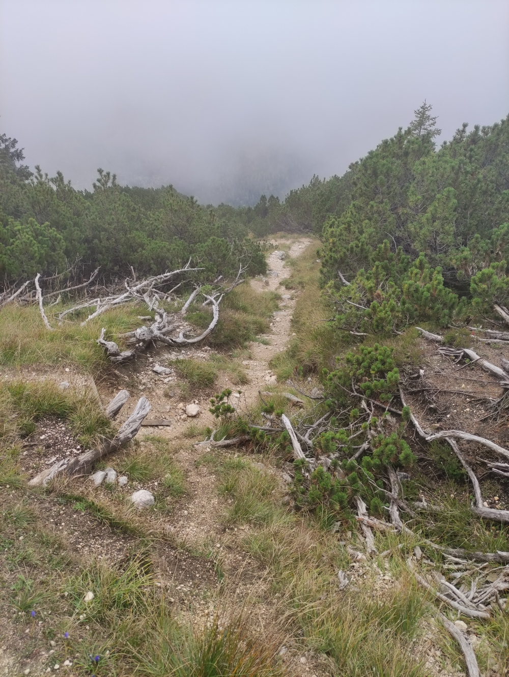 Wanderung Stadelhorn: Schaflsteig