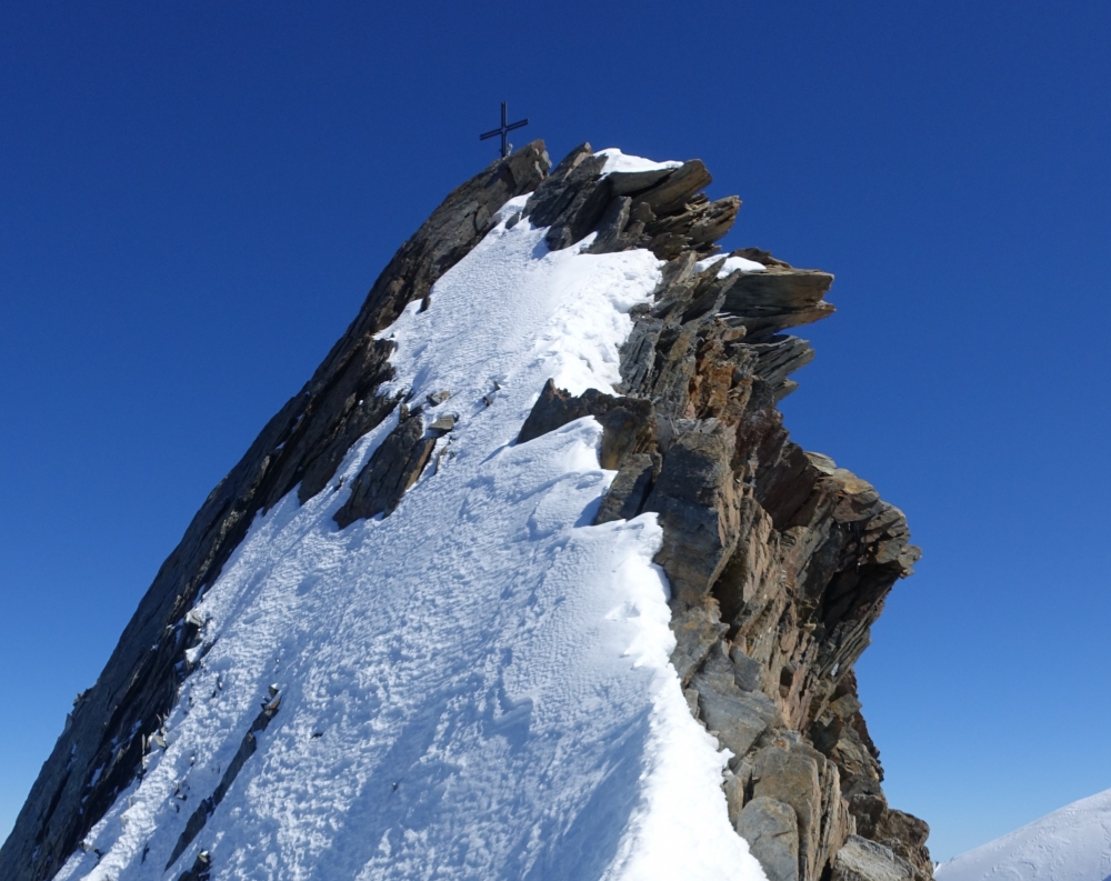 Stecknadelhorn: Stecknadelhorn