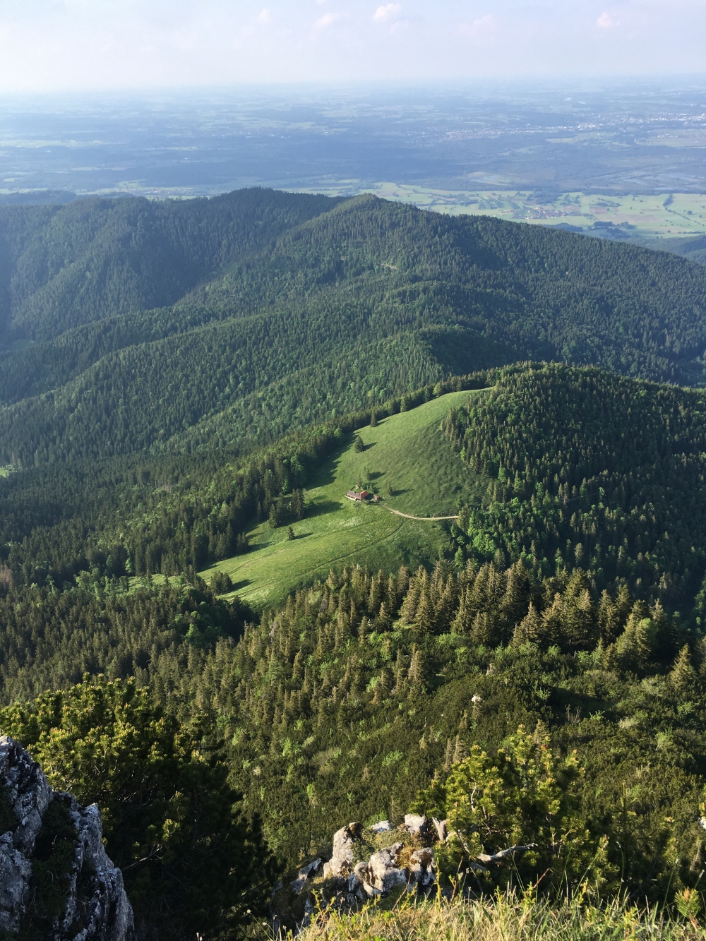 Steingrabner Alm: Blick vom Breitenstein auf die Steingrabner Alm