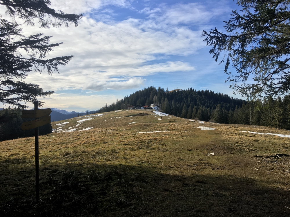 Sternplatte -> Schwarzenbergalm: Blick auf die Schwarzenbergalm mit dem Schwarzenberg im Hintergrund